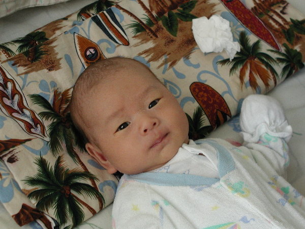 daniel4.jpg