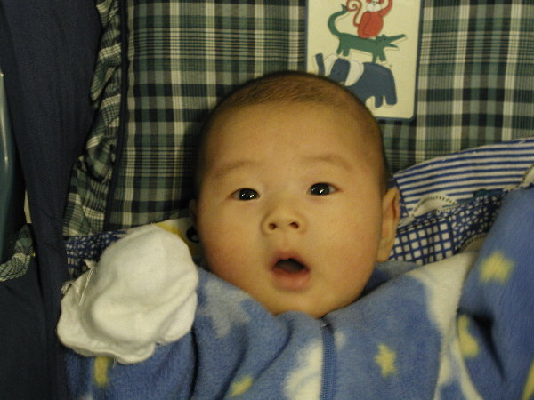p1010015.jpg