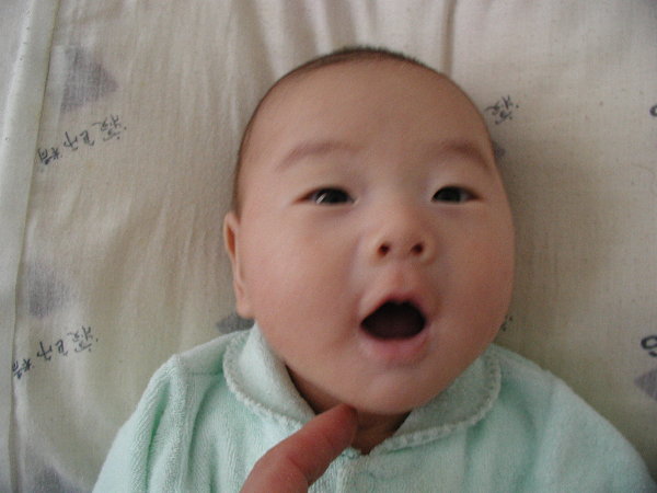 p1010017.jpg