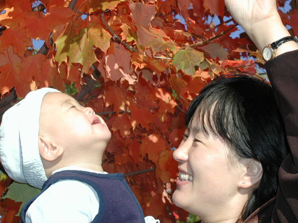 p1010024.jpg