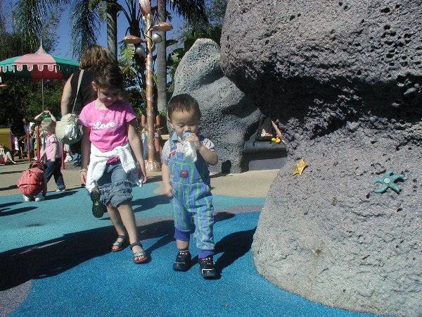 p1010067.jpg