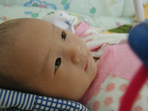 p2150006.jpg