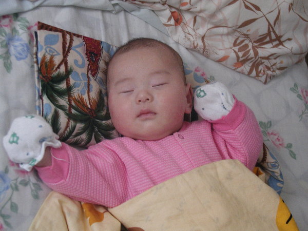 p4030007.jpg