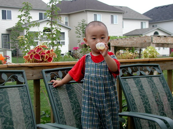 p8300001.jpg