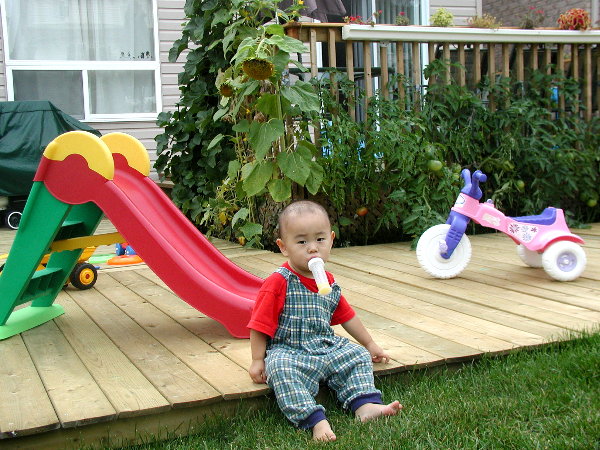 p8300003.jpg