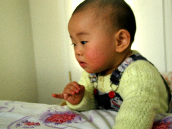pb270012.jpg